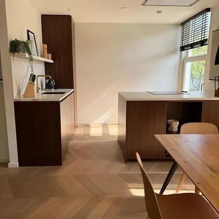 Luxe Gerenoveerd In Oud-zuid